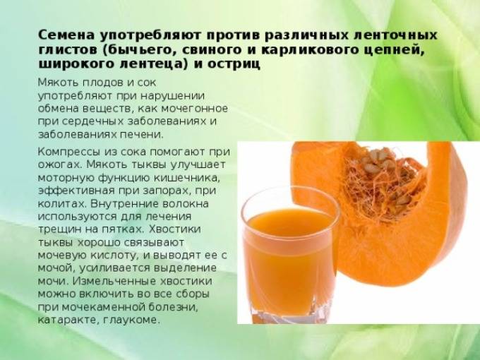 Кабачки — польза и вред для здоровья, чем полезен кабачковый сок, семена