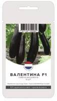 Описание, характеристика и особенности выращивания баклажана валентина f1