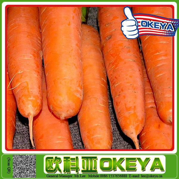 Сколько весит морковь среднего размера