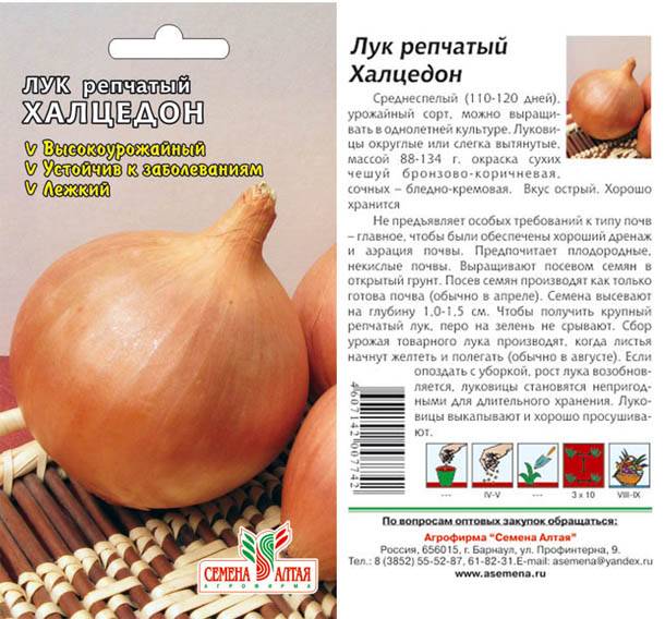 Лук репчатый халцедон: описание сорта, специфика посадки семенами