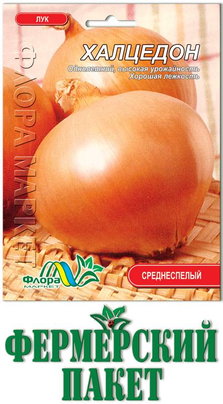 Лук халцедон — описание сорта, фото, отзывы, посадка и уход