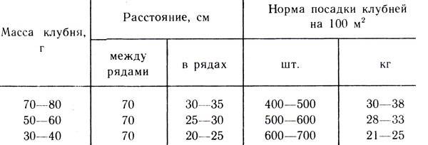 Схемы посадки картофеля – расстояния между рядами и ямками