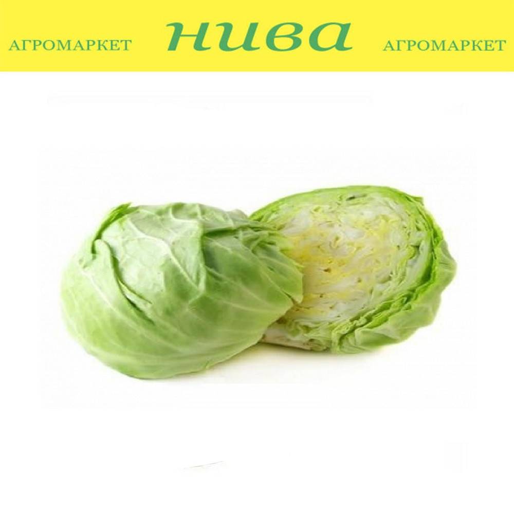 Капуста анкома f1