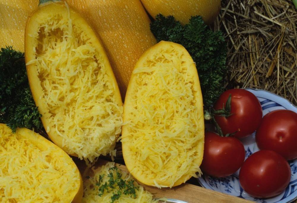 ✅ тыква «спагетти»: описание, фото, выращивание, рецепты приготовления - tehnoyug.com
