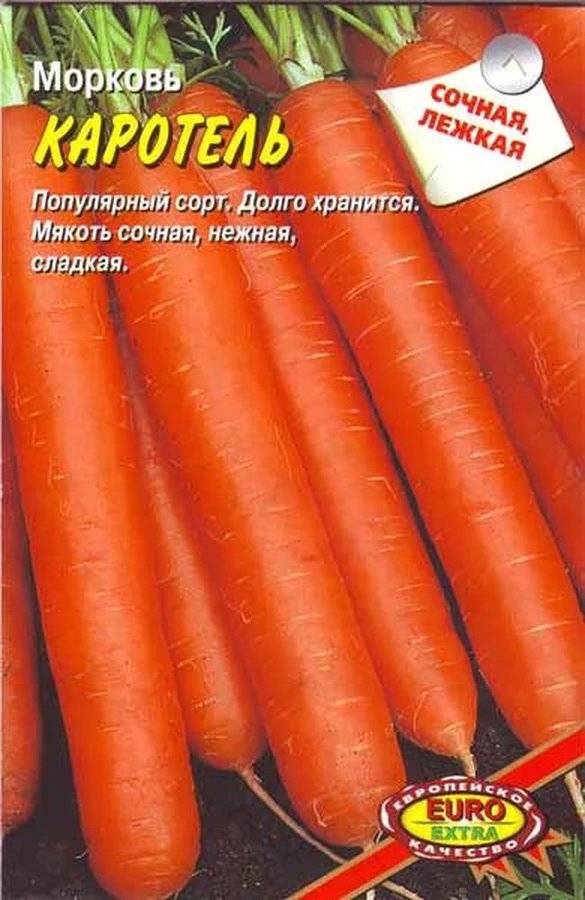 Морковь рогнеда — описание сорта, фото, отзывы, посадка и уход