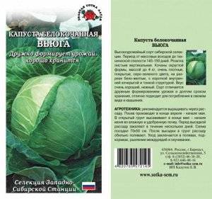 Капуста: виды (белокочанная, савойская, брокколи, брюссельская), описание 33 лучших сортов, особенности агротехники (фото & видео) +отзывы