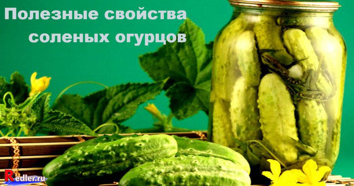 Польза огурцов для организма. Огурцы. Консервированные огурцы. Огурцы в банке красивые. Солёные огурцы.