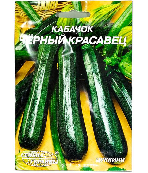 Кабачок сорт хьюго фото. Кабачок черный красавец. Кабачок Хьюго. Кабачок черный красавец НК. Кабачок черный красавец русский огород.