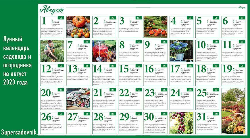 Лунный календарь садовода и огородника 2021 - дача