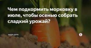 Подкормить морковь народными средствами: чем полить всходы, которые плохо растут в открытом грунте, можно ли настоем крапивы, коровяком, как применять удобрения? русский фермер