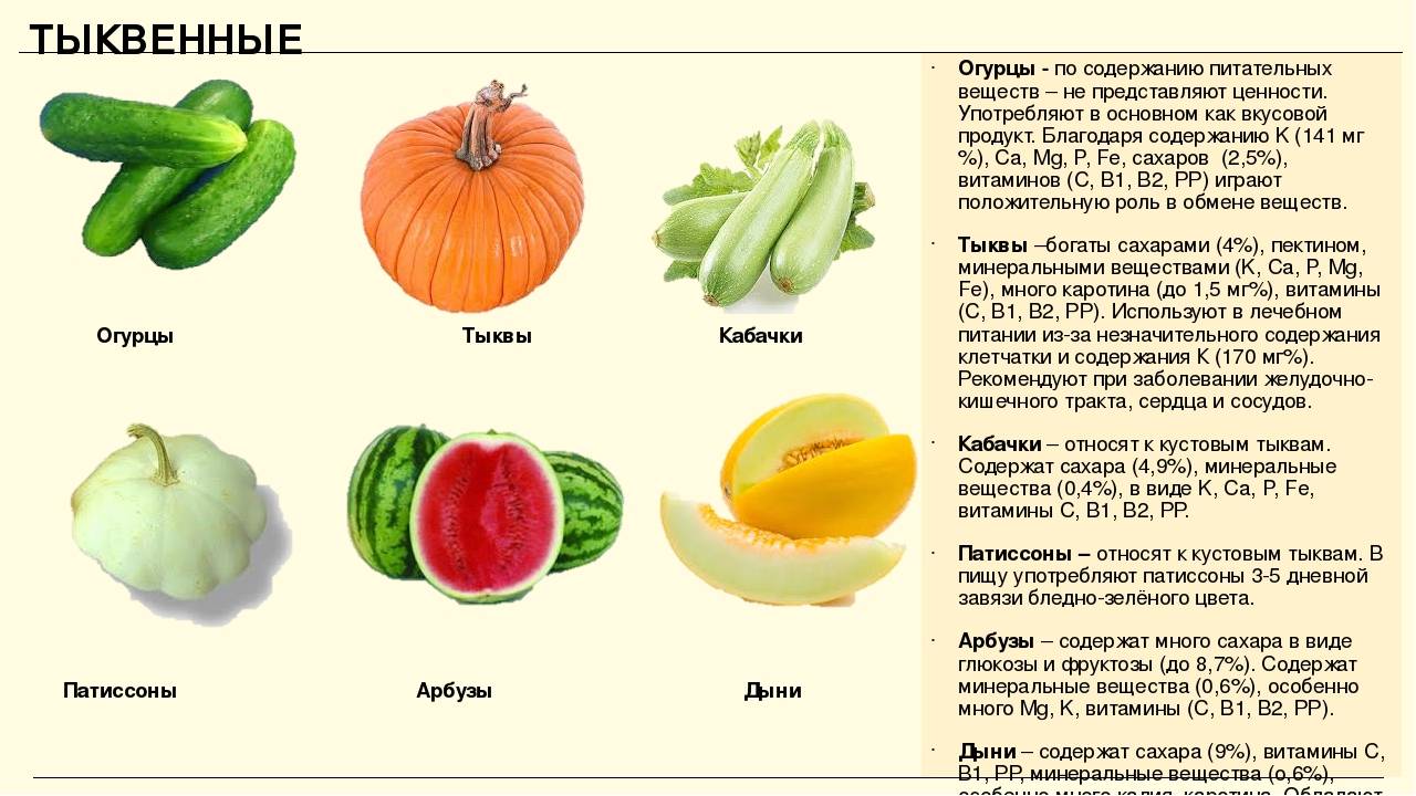 Сорта тыквы для семечек с большим количеством семян: обзор лучших, помощь в выборе, особенности выращивания