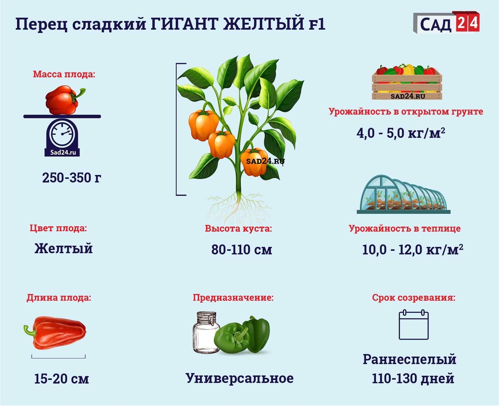 Перец египетская сила описание сорта отзывы