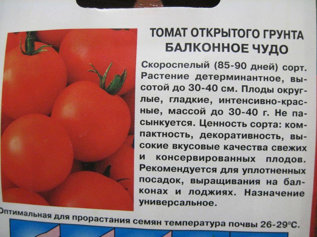 Томаты балконное чудо: описание и выращивания помидор на подоконнике