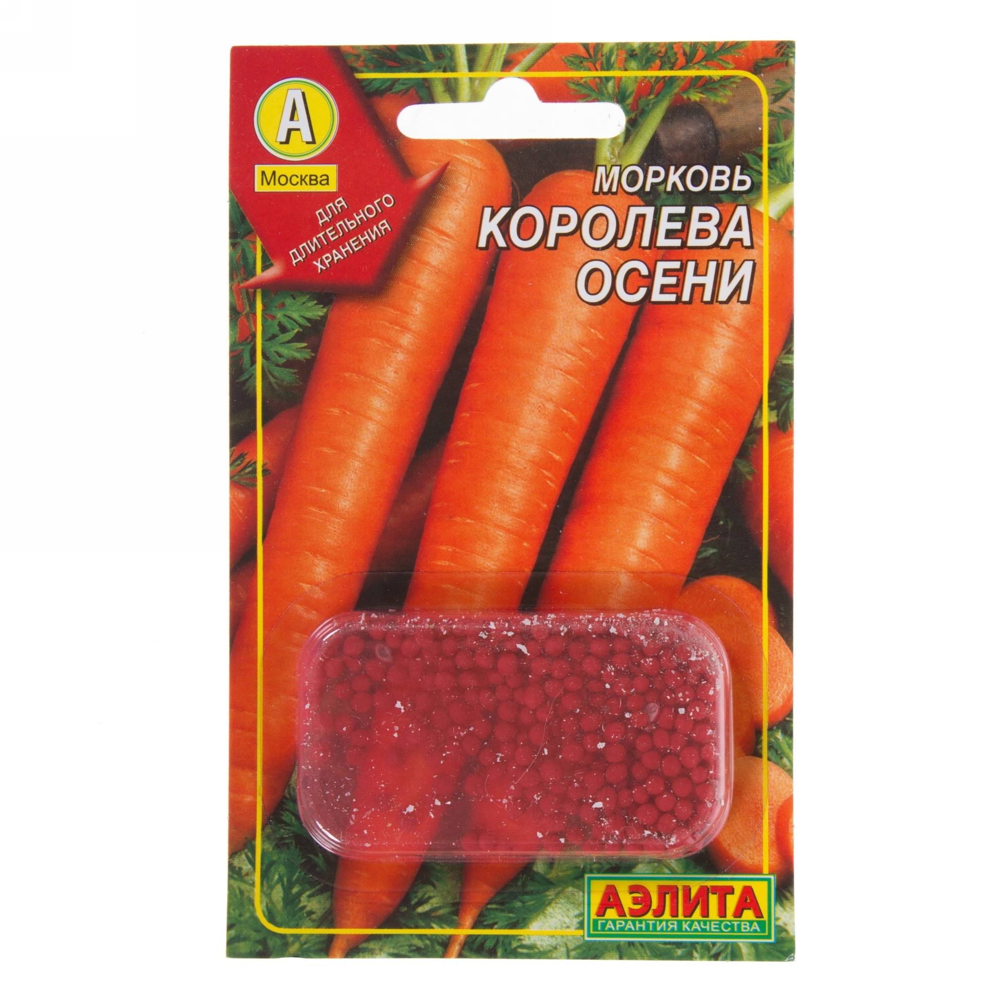 Описание сорта моркови королева осени