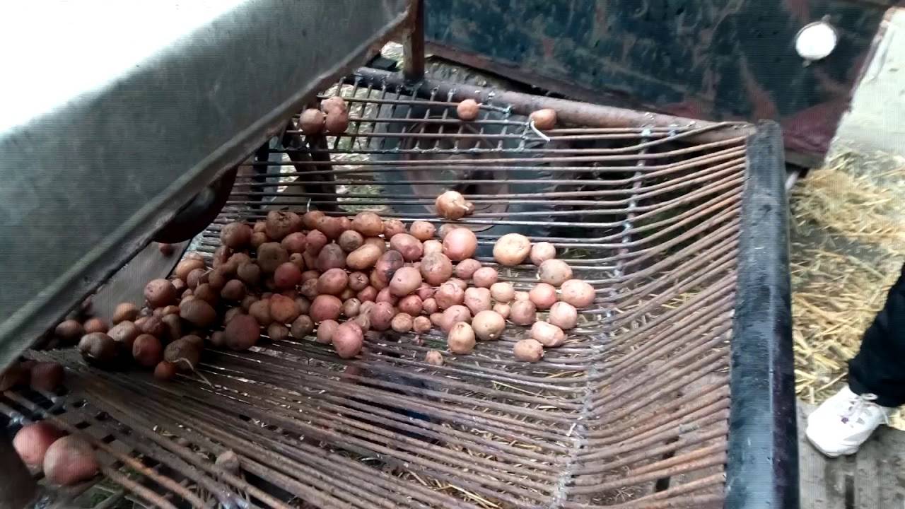 Сортировщик картофеля своими руками чертежи