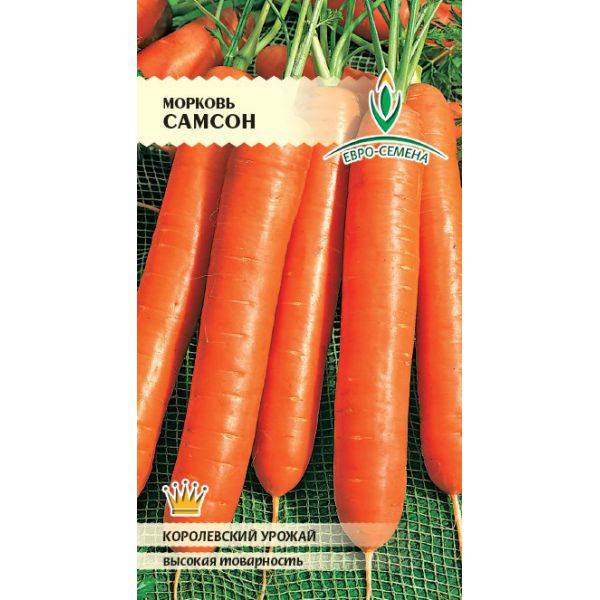 Морковь семена лучшие сорта для открытого. Сорта моркови для Сибири. Морковь семена лучшие сорта.