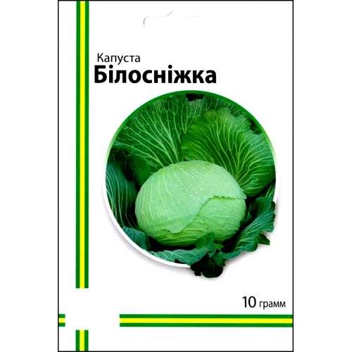 Капуста белоснежка описание сорта