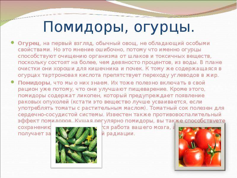 Витамины и минералы в помидорах: чем полезны томаты