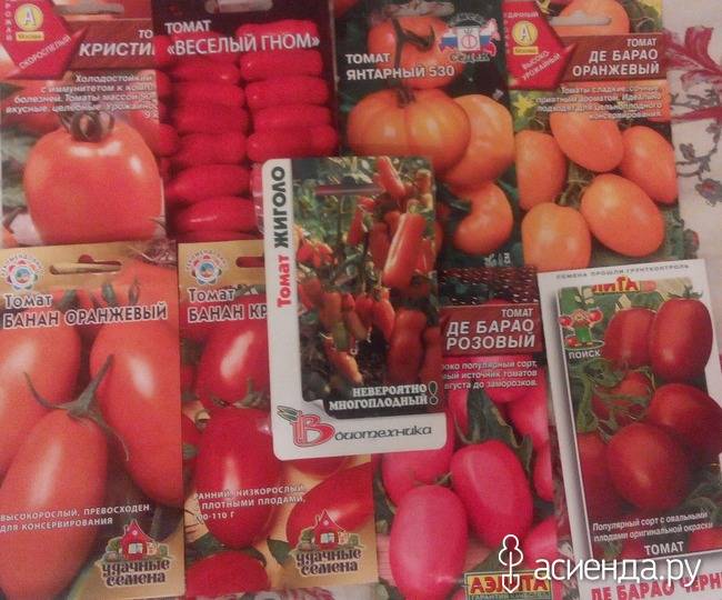 Характеристика и описание сорта томата веселый гном, его урожайность