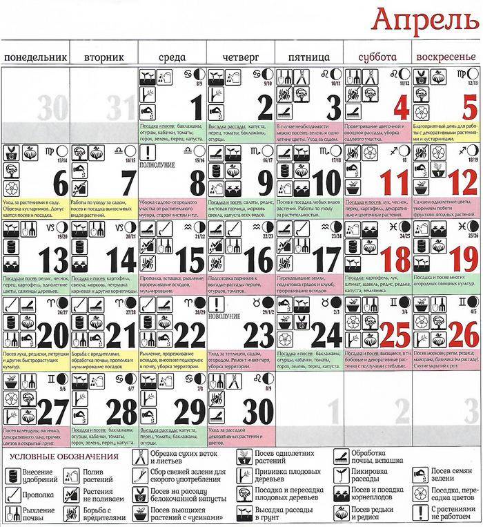 Лунный посевной календарь на апрель 2021: дни посадки рассады, советы