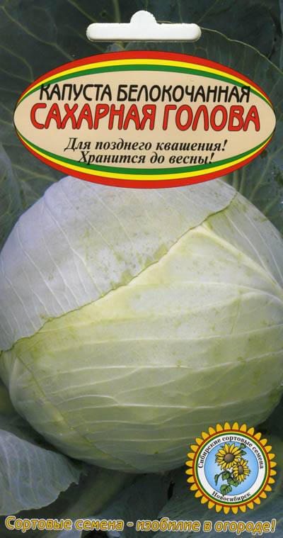 Капуста сахарная голова: топ отзывы, секреты посадки и ухода, фото