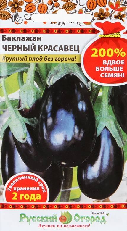Баклажаны сорта «черный красавец»: описание и рекомендации по выращиванию