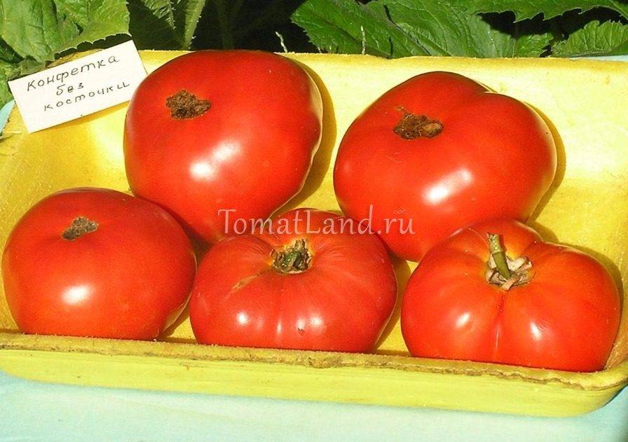 Характеристика и описание сорта томата медовая конфетка