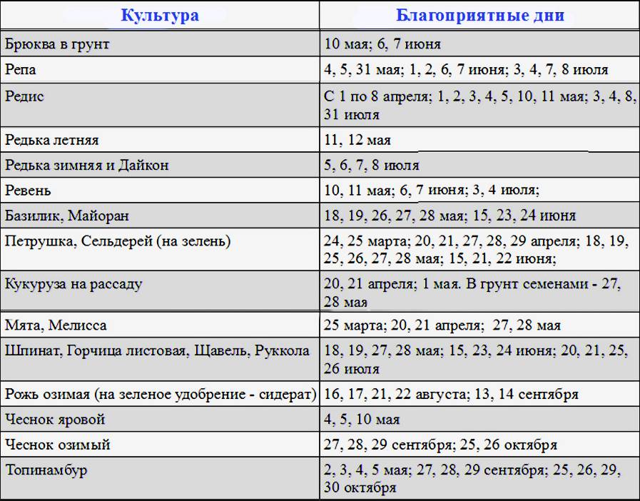 Благоприятные дни в октябре. Благоприятные дни для высадки чеснока. Посадка чеснока под зиму по лунному календарю. Лунный календарь для посадки чеснока. Благоприятные дни для посадки чеснока.