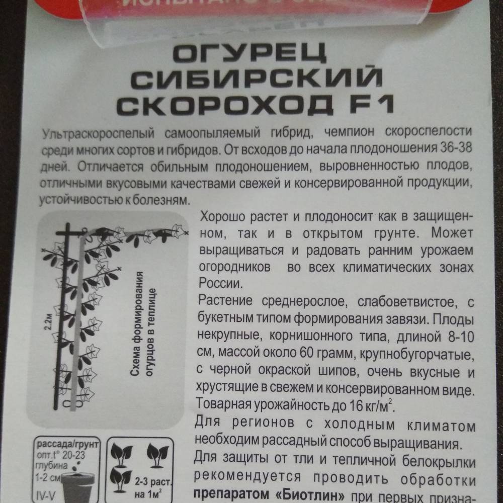 Характеристика сорта огурцов конек горбунок - агро журнал pole39.ru