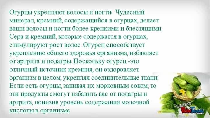 Свежие огурцы: польза и вред для организма, сколько можно есть