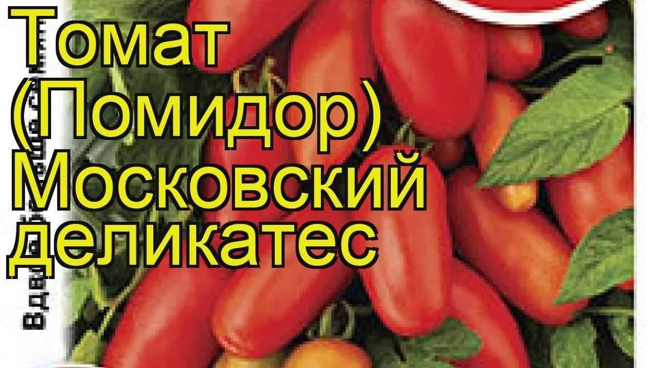 Выращиваем отечественный помидор «московский деликатес»: описание, характеристика и фото сорта
