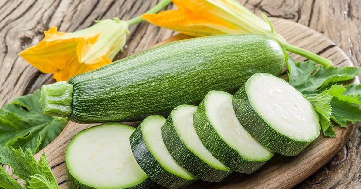 Подробное описание кабачка – как он выглядит?