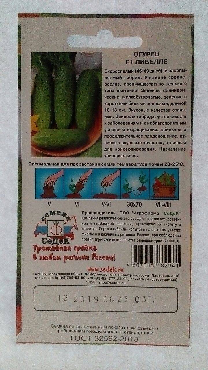 Сорт огурцов либелла отзывы - моё село