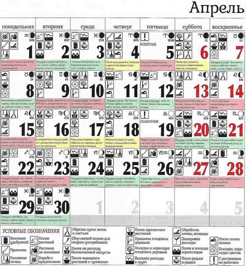 Посадочные дни в апреле 2021 года: сроки посадки, календарь