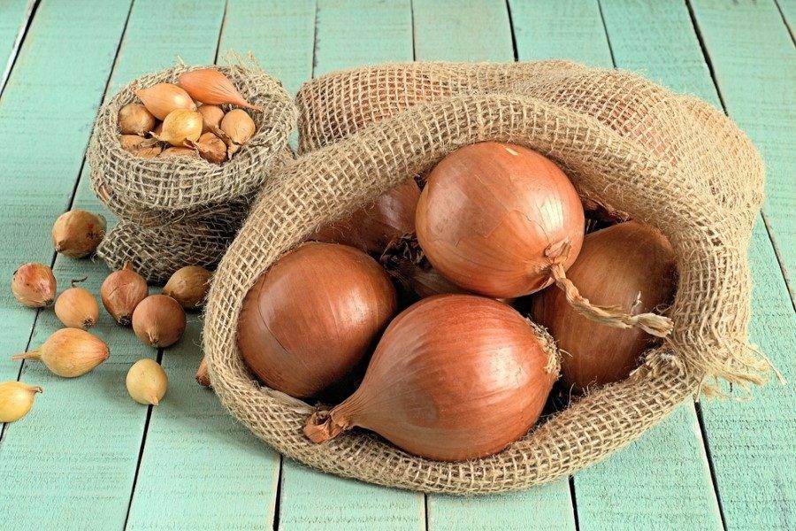 Как хранить лук зимой в домашних условиях