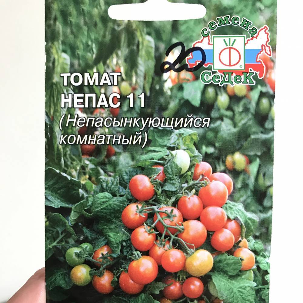 Низкорослые томаты для открытого грунта без пасынкования: описания сортов с фото и отзывами
