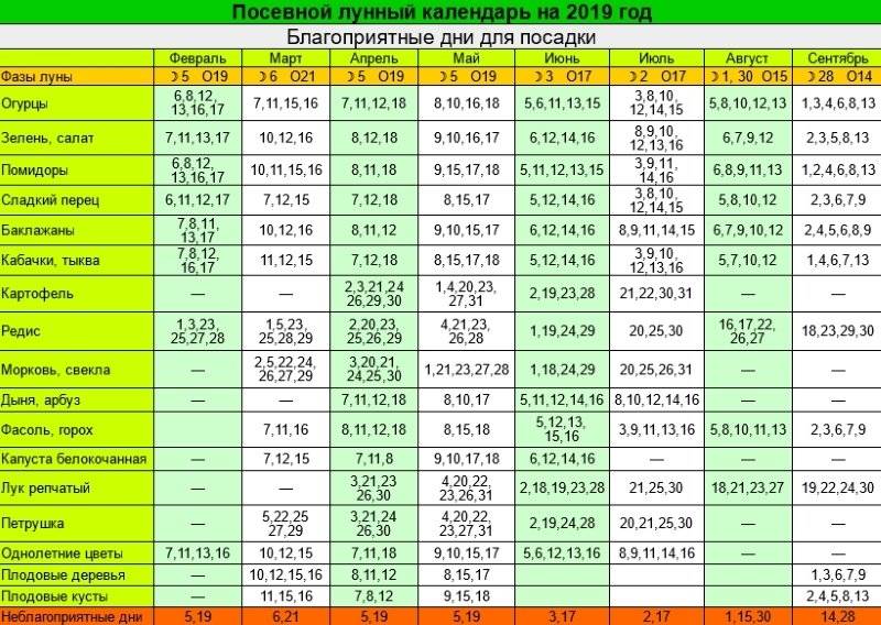 Когда сажать кабачки на рассаду в 2020 году по лунному календарю, благоприятные дни для посева семян с учетом региона и способа выращивания дома и в открытом грунте – сад и огород своими руками