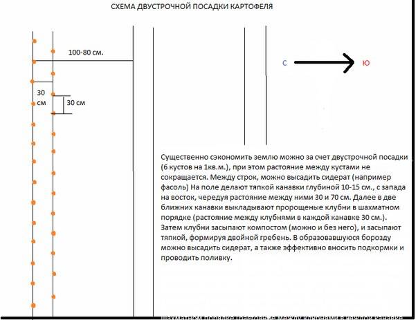 План посадки картошки