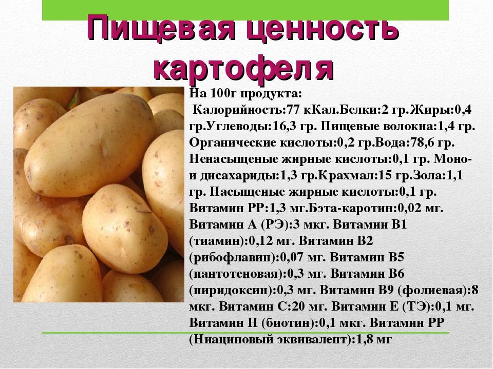 Какой химический картофеля. Пищевая ценность картофеля на 100 грамм. Энергетическая ценность 100 г картофеля. Картофель пищевая ценность в 100г. Картофель питательные вещества в 100г.