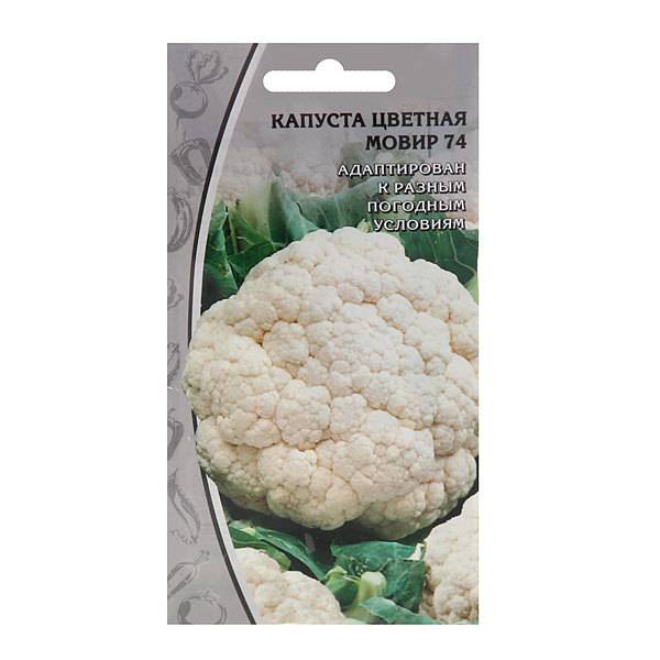 Цветная капуста — полезно и вкусно!