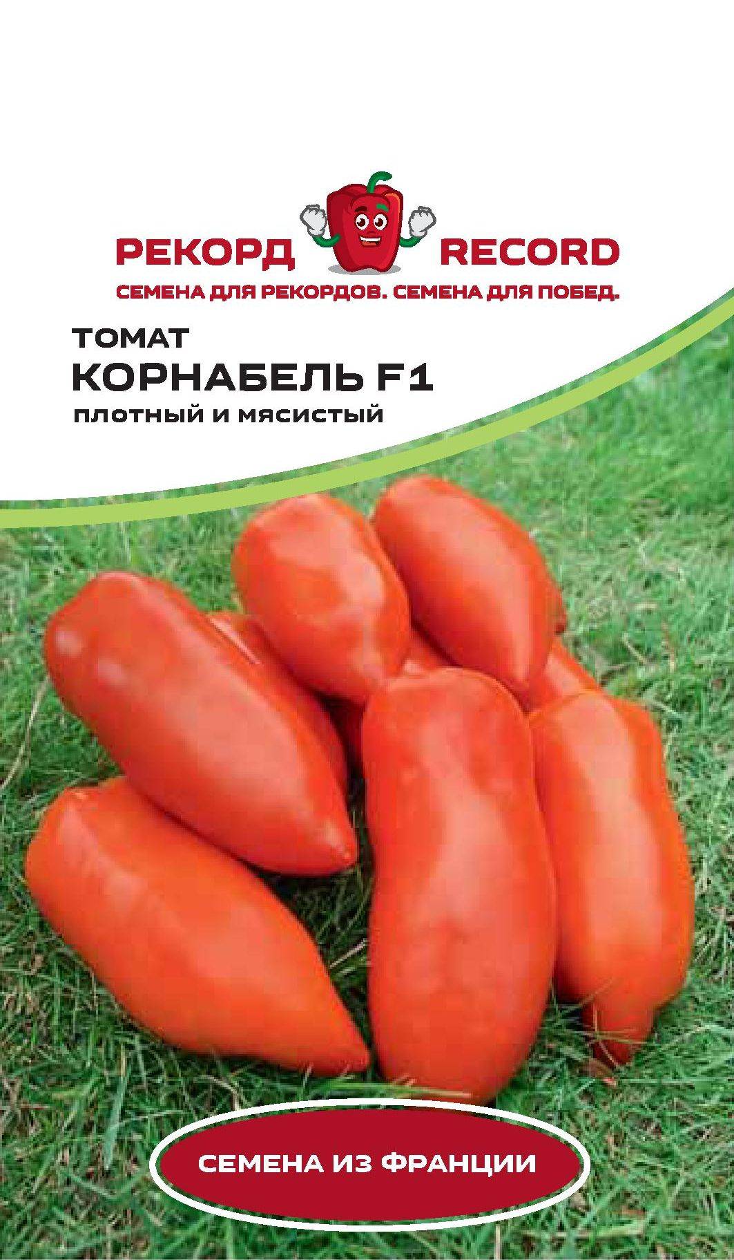 Томат корнабель: отзывы, фото, урожайность, характеристика и описание | tomatland.ru