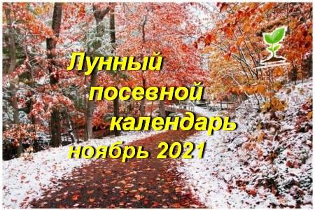 Лунный календарь садовода огородника на октябрь 2021 года