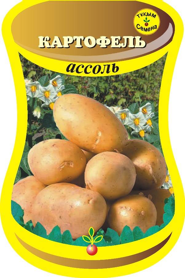 Картофель милена - описание сорта, фото, отзывы, посадка и уход - журнал "совхозик"
