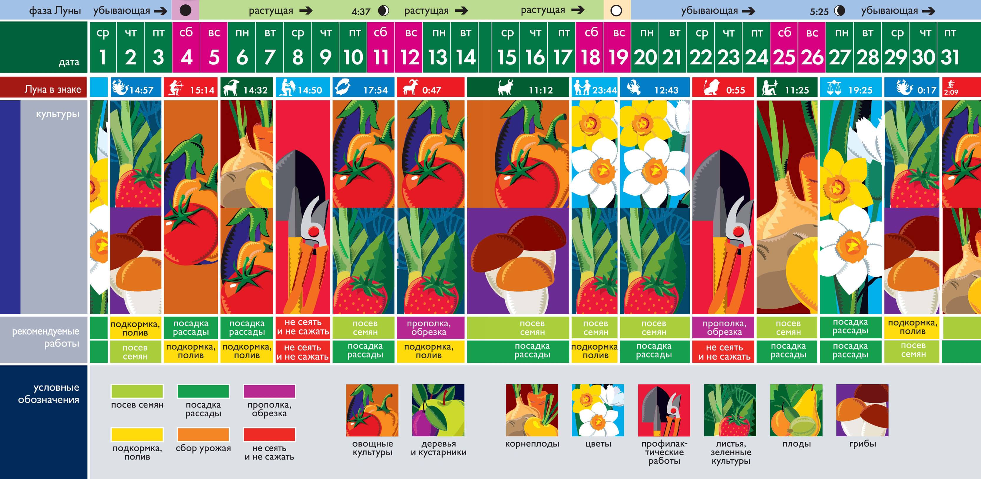 Лунный календарь огородника и садовода на февраль 2021 года