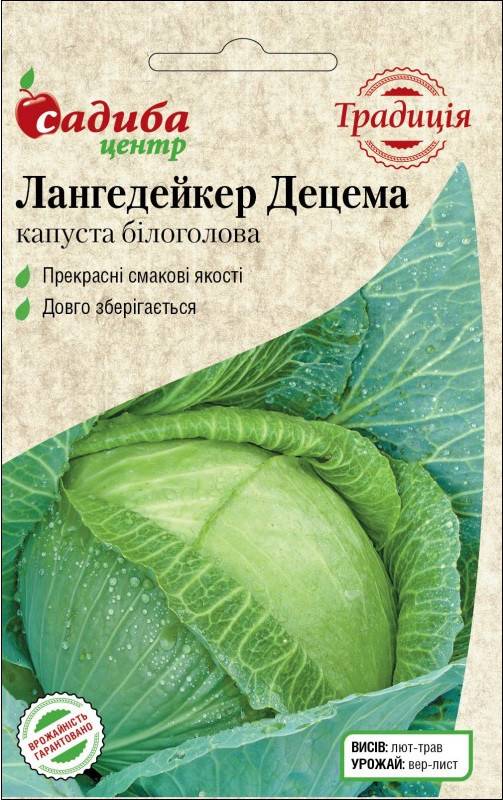 Описание капусты лангедейкер