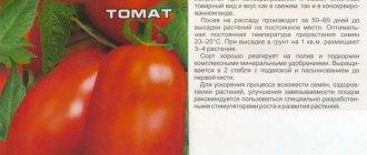 Томат московский деликатес: отзывы, фото, урожайность – дачные дела