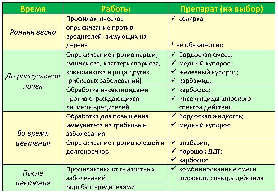 Вредители капусты и средства борьбы. чем обработать? химические и биопрепараты. народные средства — ботаничка.ru
