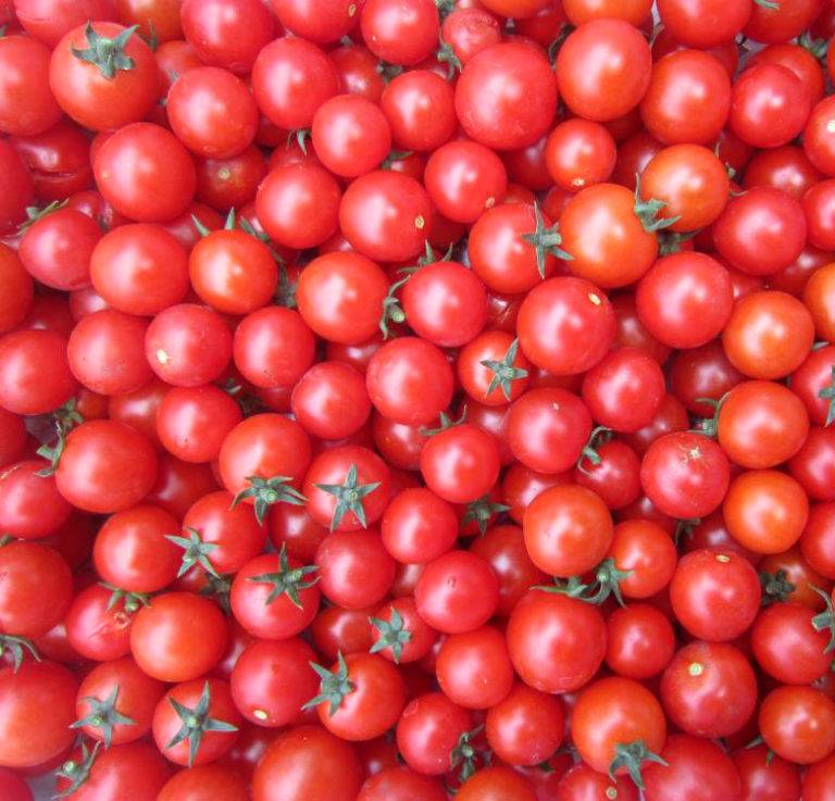 Плоды как украшение участка — томат вишня черная: полное описание