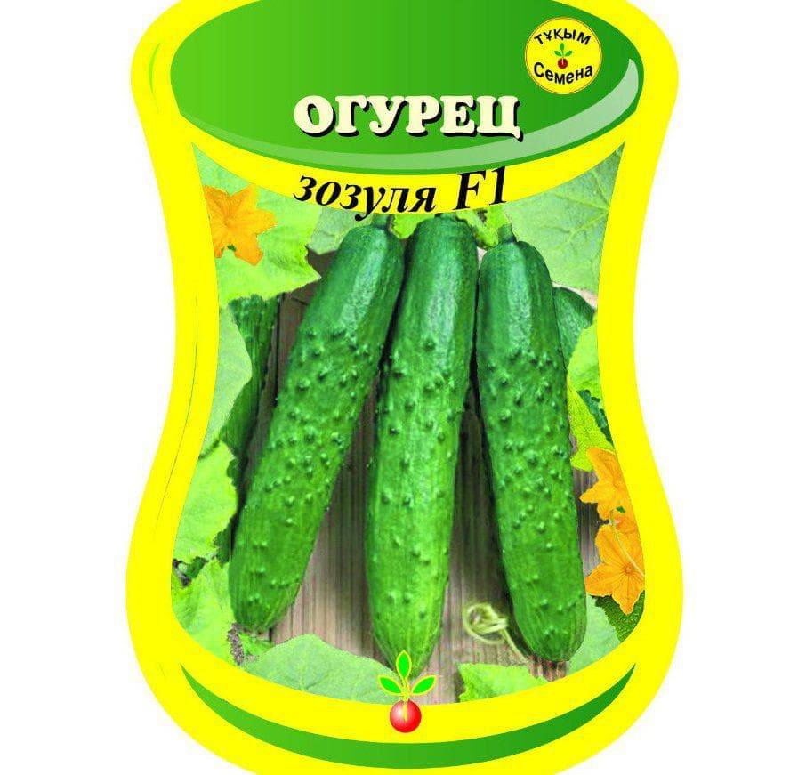 Огурец "зозуля": описание сорта, фото, отзывы