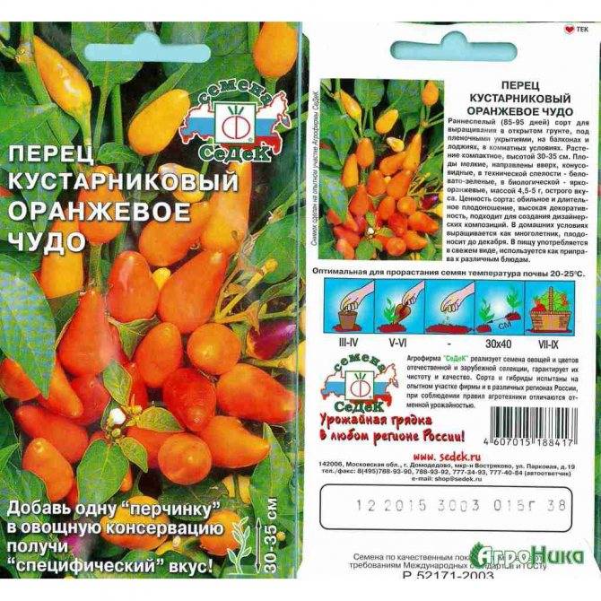 Перец «оранжевое чудо»: описание и выращивание